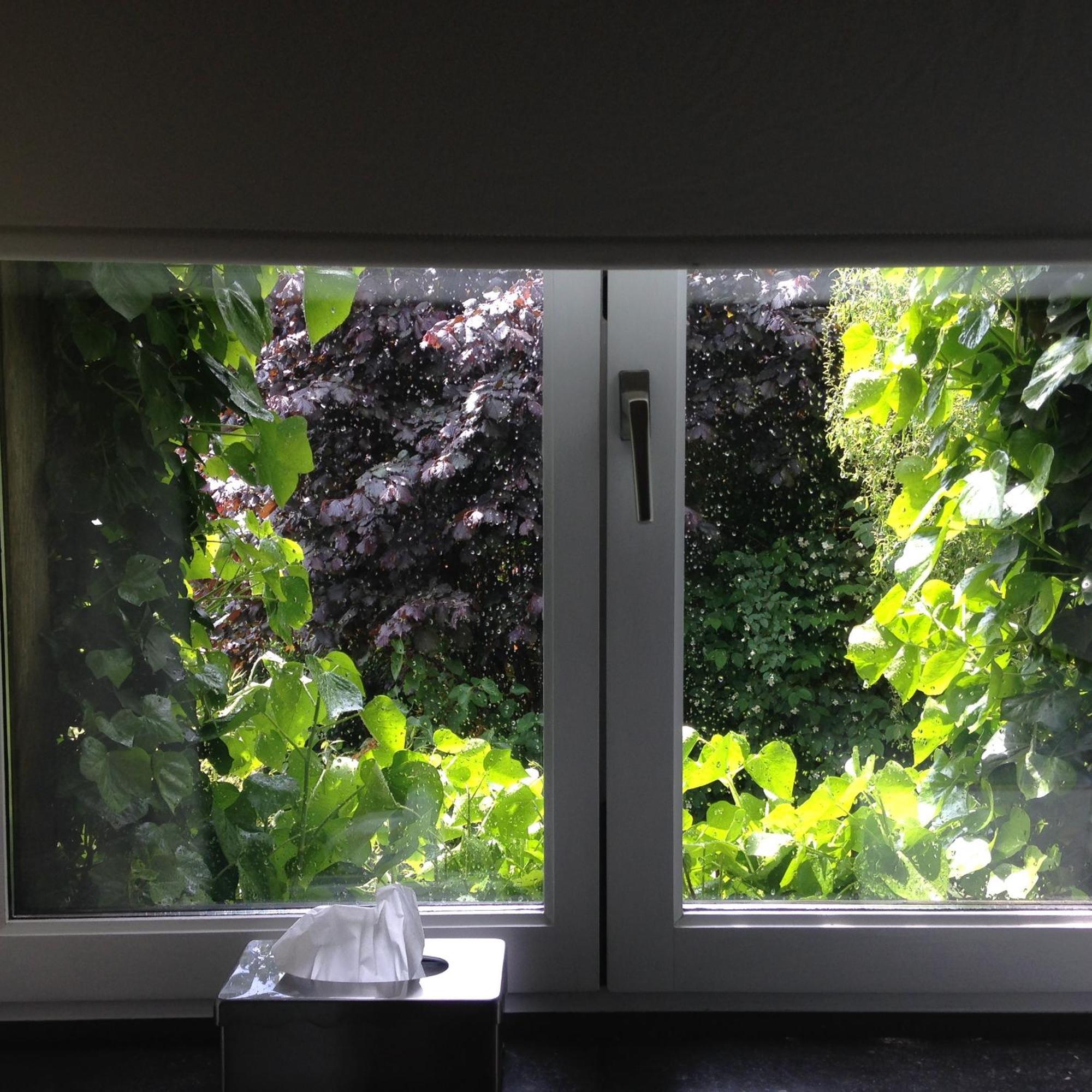 B&B Matin Tranquille Lieja Exterior foto